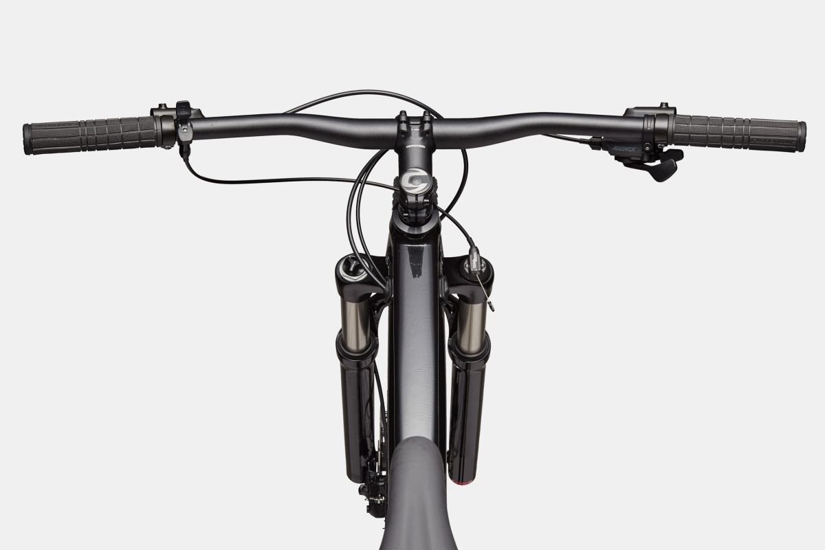 CANNONDALE TRAIL SL 4 29